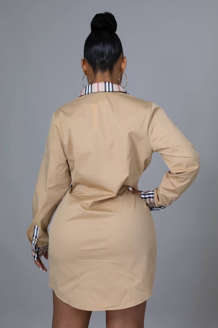 In The Details Dress